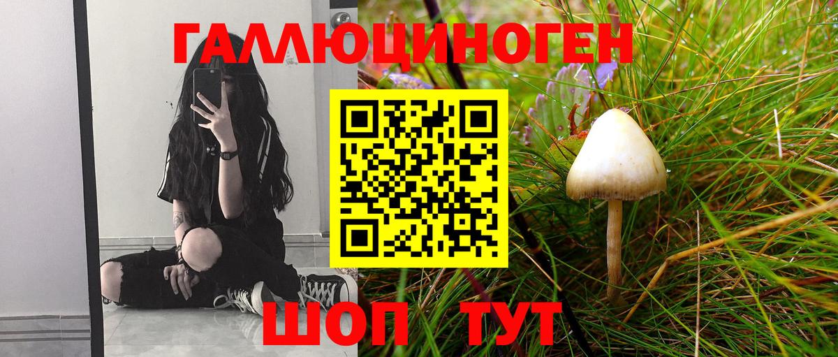Псилоцибиновые грибы Magic Shrooms  Вход с VPN  Бутурлиновка  Галлюциногенные грибы Psilocybe 