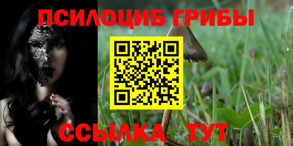 Псилоцибиновые грибы Cubensis Бутурлиновка